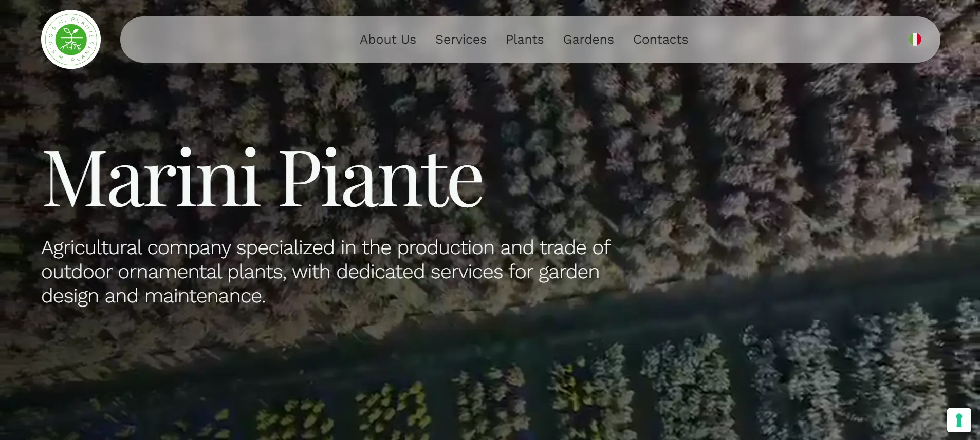Marini Piante page screenshot